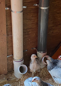 DIY Tube Feeder - Chickenmethod.com