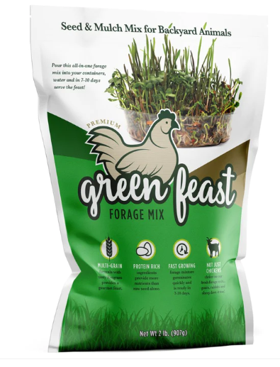 Amturf Green Feast Forage Mix, 2 LB bag - My Pet Chicken